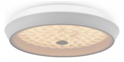 Накладной светильник Freya Cells FR10012CL-L24W