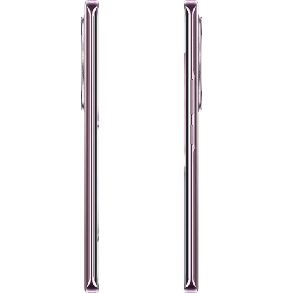 Смартфон Honor X9c 12/256Gb Titanium Purple (BRP-NX1)