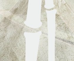 Бесшовная фреска 19483, 2,7 м (Ширина 4 м)