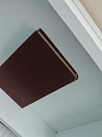 Корни и крона