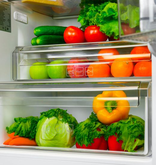 Встраиваемый холодильник LEX RBI 250.21 DF