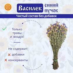 Василек пучок, 1 шт. ВАПЧ-00-001