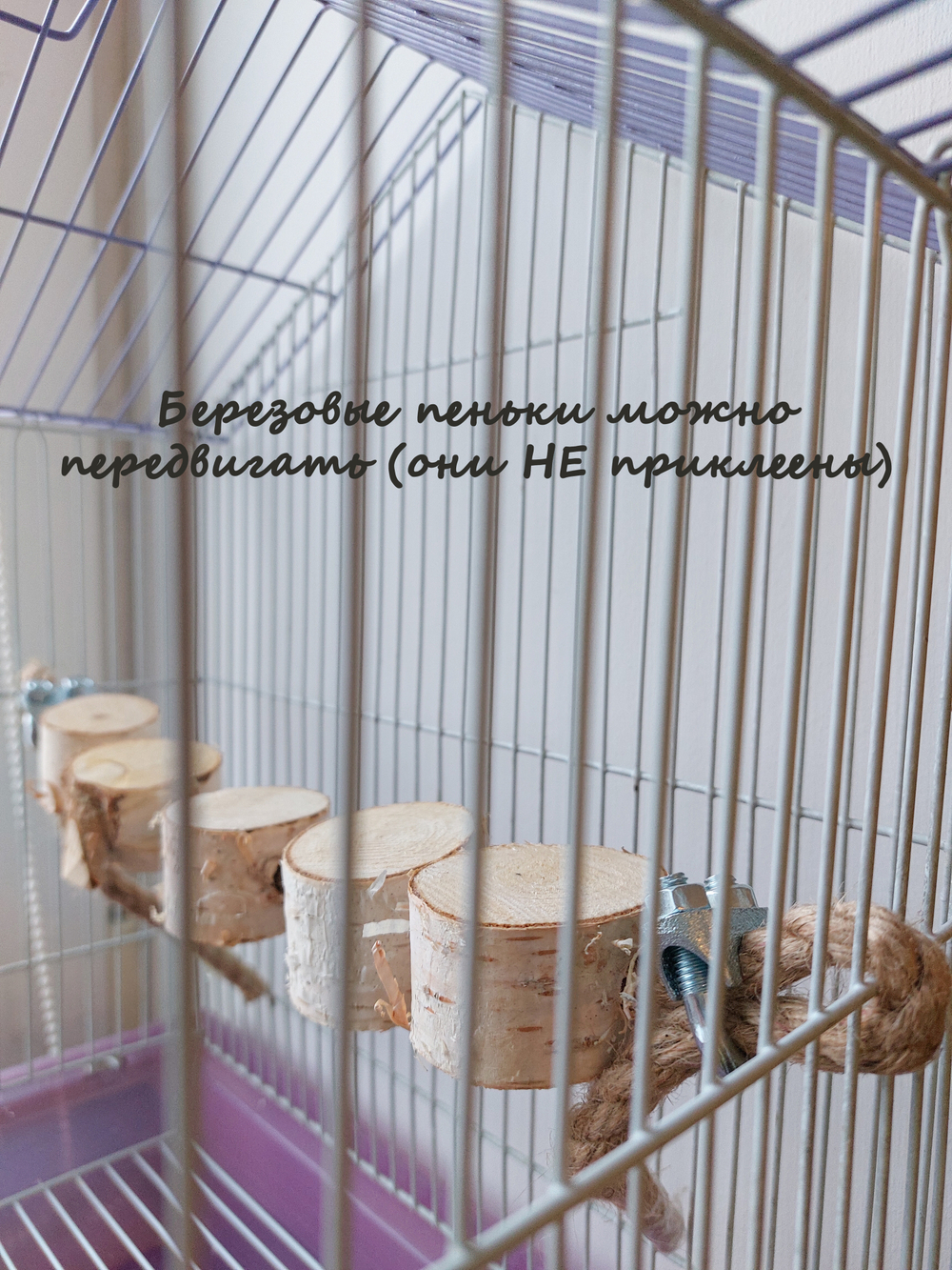 Лесенка тропинка для птиц и грызунов