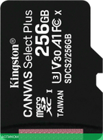 Карта памяти Kingston microSDHC 256GB microSDXC Class10 (SDCS2/256GBSP)