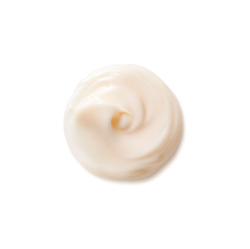 Shiseido Benefiance NutriPerfect Day Cream - омолаживающий дневной крем SPF 15 /   50  ml  / GTIN 768614191100