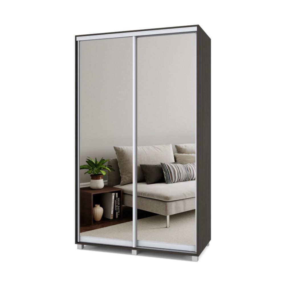 Шкаф-купе двухстворчатый "Роланд" Р643, ЛДСП, MODERN