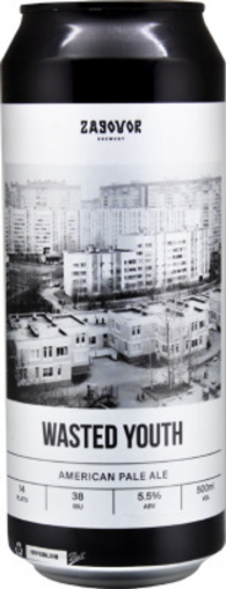 Пиво Заговор Вэйстэд Юс / Zagovor Wasted Youth 0.45 - банка