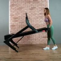 Беговая дорожка домашняя SVENSSON BODY LABS HUSTLE