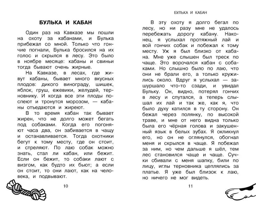 Большая собачья книга