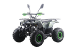 Квадроцикл Motax ATV Grizlik Lux 125