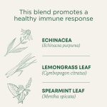 Traditional Medicinals, органическая эхинацея плюс, оригинальная с мятой, без кофеина, 16 упакованных чайных пакетиков, 24 г (0,85 унции)
