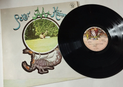 Винтажная виниловая пластинка LP Peter Hammill Chameleon In The Shadow Of The Night (Holland 1973)