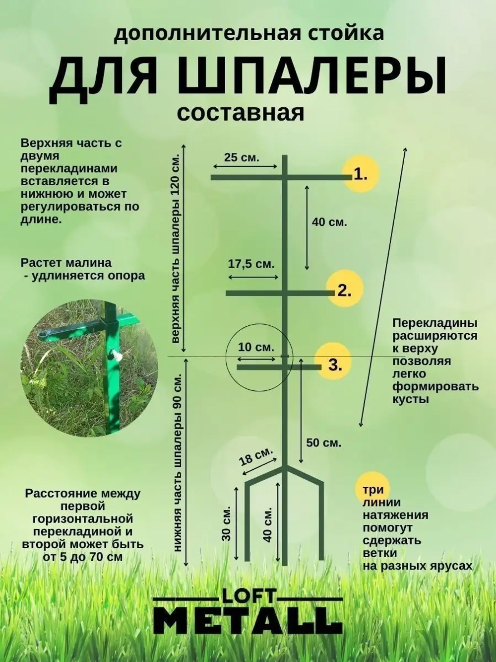 Шпалера садовая для малины и ежевики