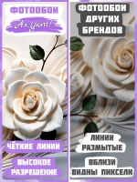3D Объемные фотообои цветы розы и геометрия