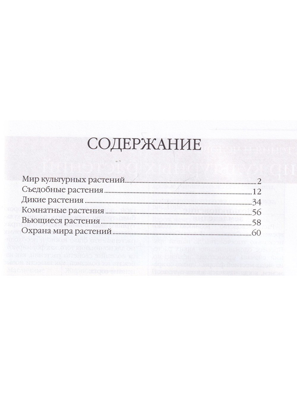 Растения и человек