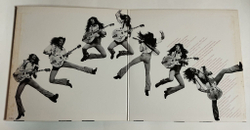 Винтажная виниловая пластинка LP Ted Nugent Free For All (Japan 1979) (No Obi)