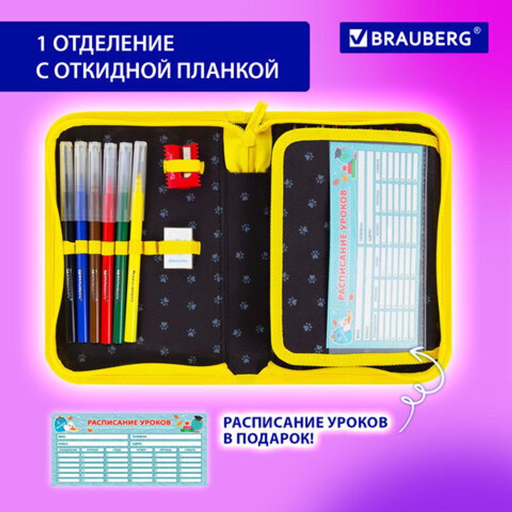 Пенал BRAUBERG с наполнением, 1 отделение, 1 откидная планка, 24 предмета, 21х14 см, "Dark cat", 272351