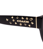 Солнцезащитные очки HC8393U Coach - черный(HC8393U)