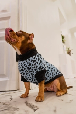 Для собачки