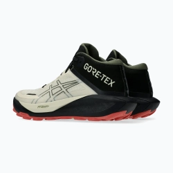 Женские Кроссовки для бега ASICS Gel-Trabuco MT GTX vanilla/mantle green