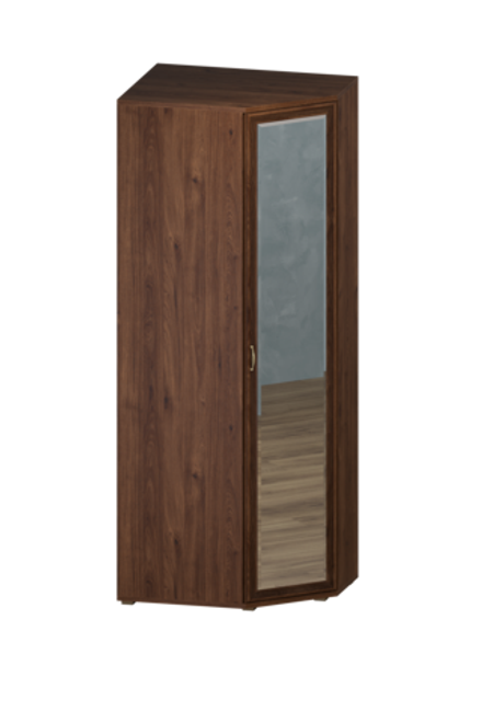 Шкаф угловой Карина ШК-1018