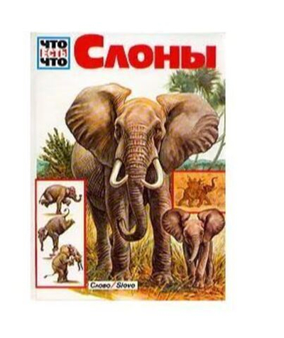 Слоны