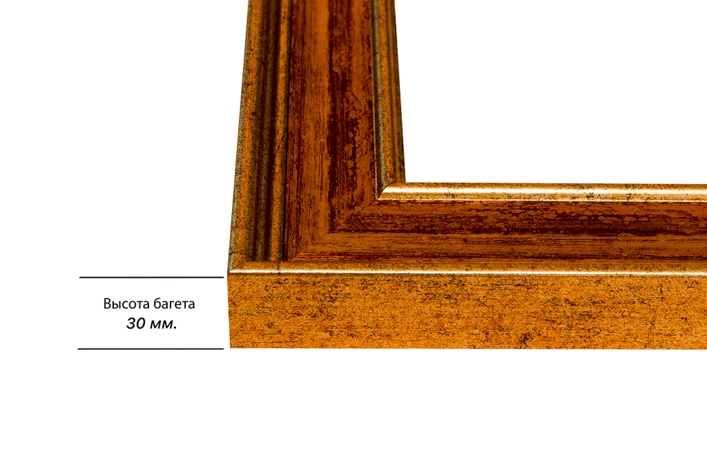 Рама 30x100 для картин и фотографий RP0481550-11