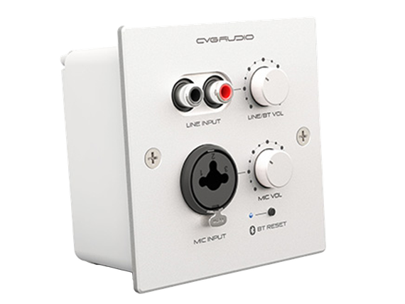 CVGAUDIO PW-IN/W настенная панель удаленного зонального подключения