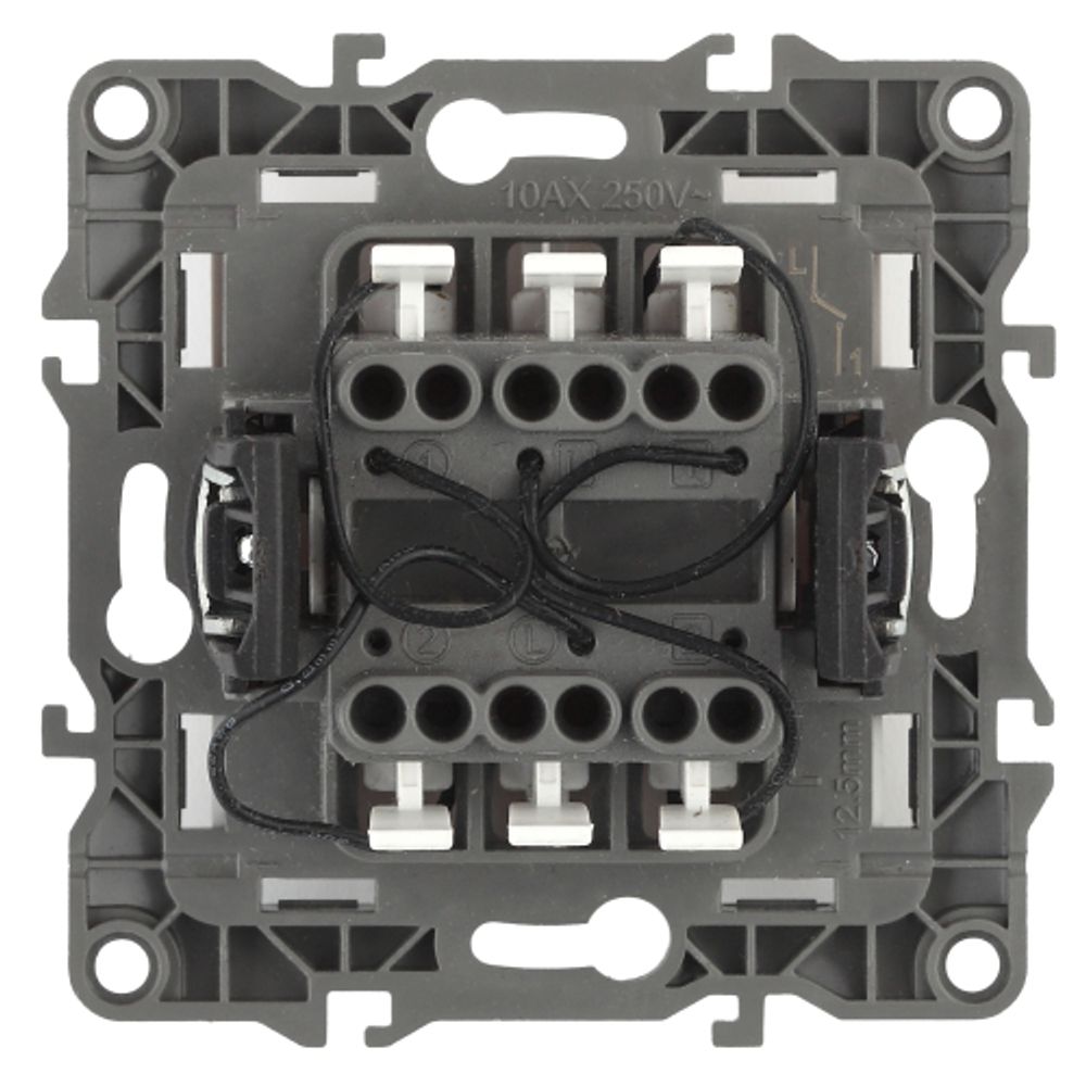 Выключатель ЭРА Серия 12 12-1105-04 двойной с подсветкой скрытой установки 10АХ-250В