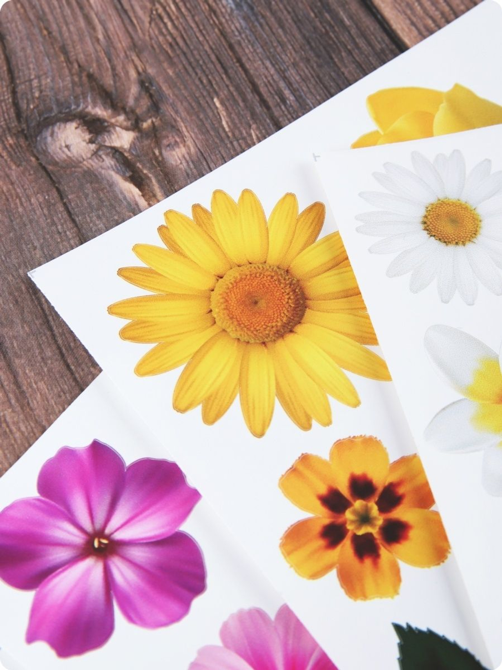 Декоративные наклейки цветы для интерьера