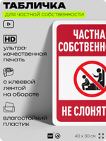 Табличка для частной территории "Частная собственность, не слоняться", на дом, для участка, организаций, предупреждающая, 40х30 см, Silver Plane x Айдентика Технолоджи