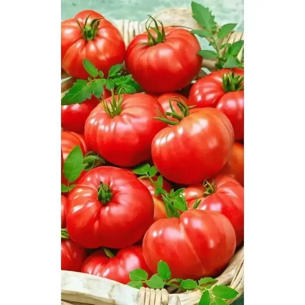 Семена Томат Толстый Барон F1 (УД) Е/П