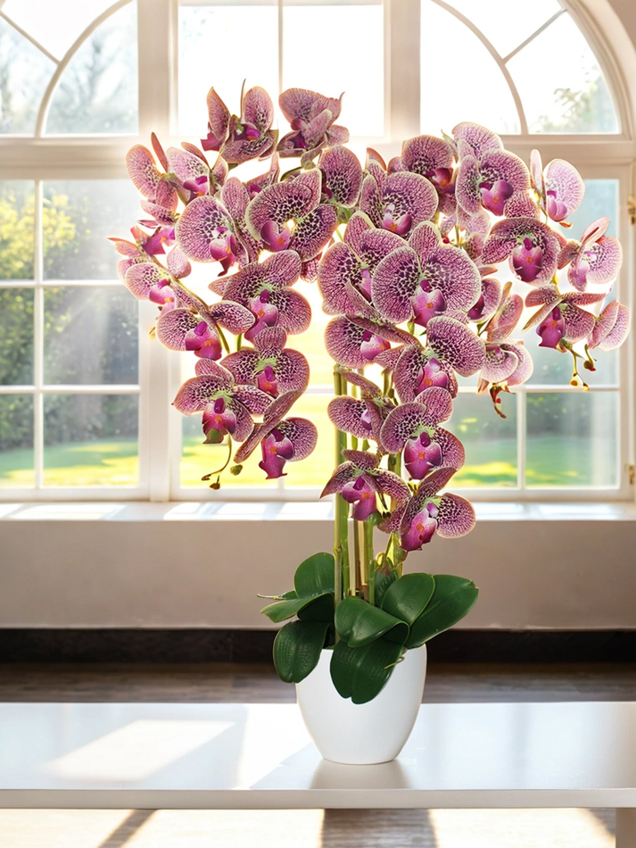Искусственные Орхидеи 5 веток вишневые 75см в белом кашпо