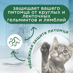 Таблетки от гельминтов для кошек, Дронтал 2 таблетки в упаковке, Пирантел эмбонат/Празиквантел.
