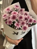 собран сегодня #24