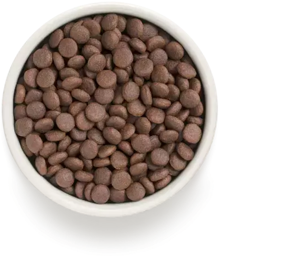 Grandorf Сухой корм для собак средних и крупных пород Индейка