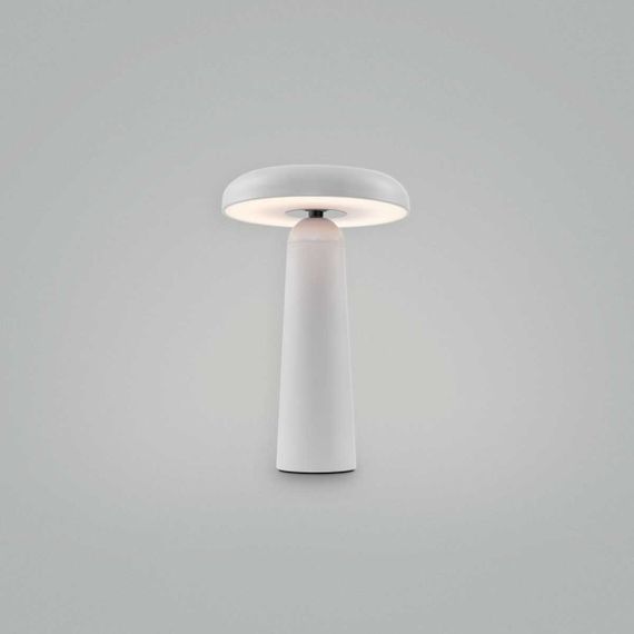Настольная аккумуляторная лампа Freya LED Mushroom FR6109TL-L4W