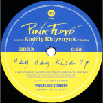 Pink Floyd Featuring Andriy Khlyvnyuk / Hey Hey Rise Up (Limited Edition)(7" Vinyl Single)