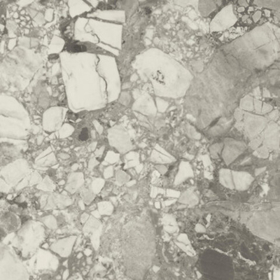 Керамогранит FORTE DEI MARMI Ceppo Apuano Pearl Rett (600010002411)