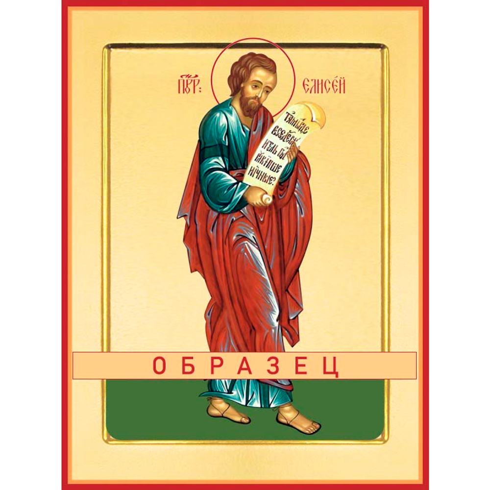 Святой пророк Елисей Св-73 (пррк/Е/2/2)