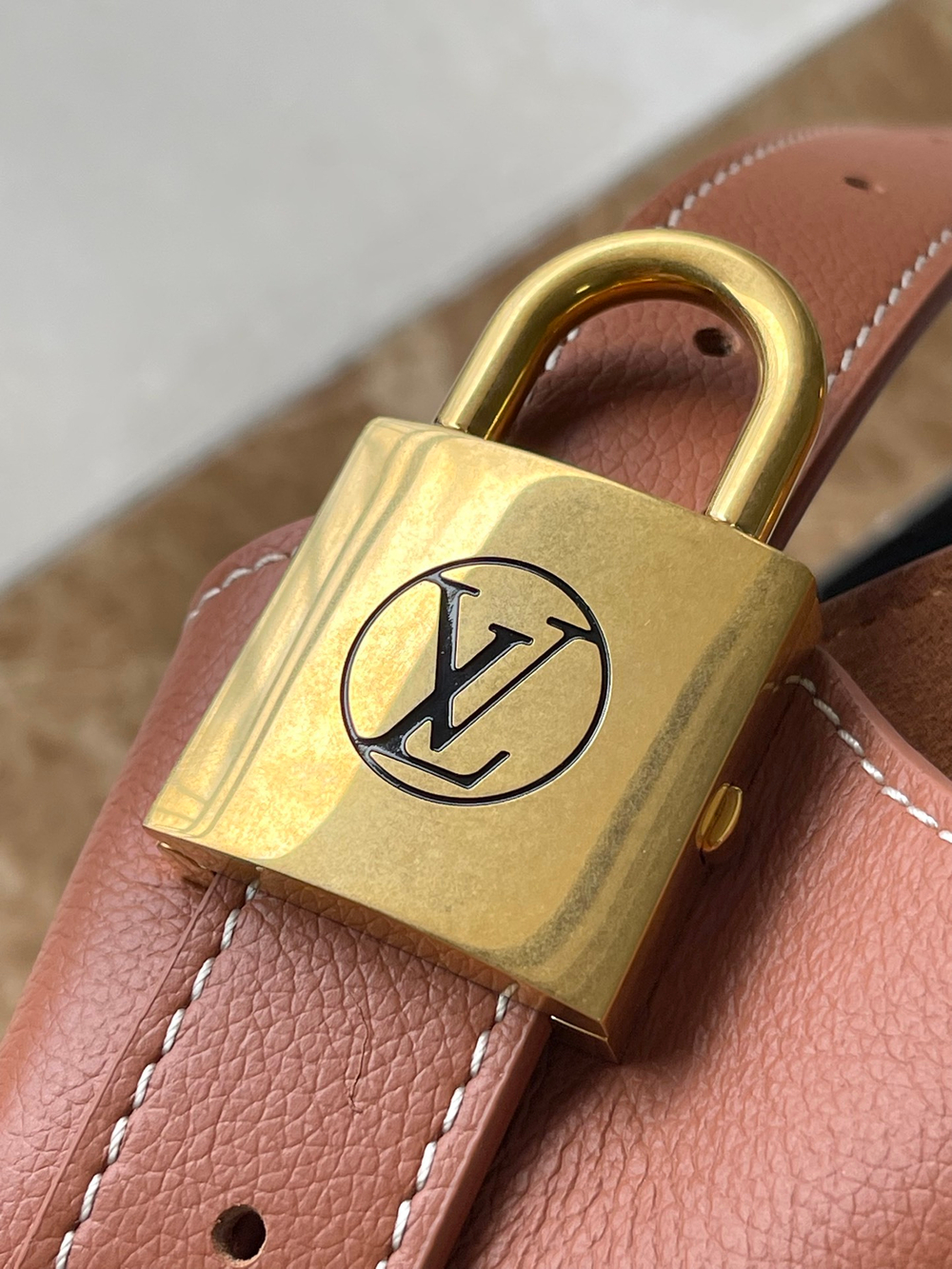 Louis Vuitton Low Key Hobo PM