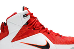 Кроссовки Nike Lebron 12 Heart Of A Lion 12