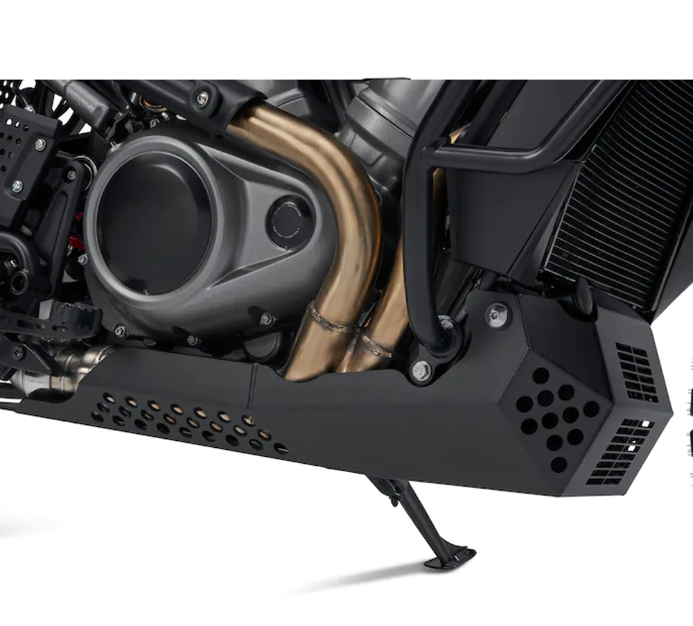 49000191 Защита двигателя нижняя Pan America