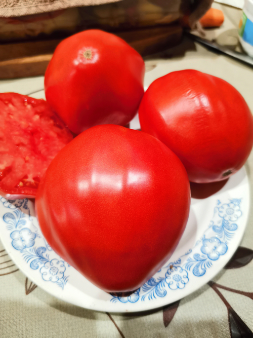 Помидоры Гигант Provenzano