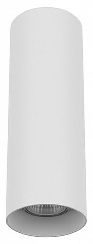 Накладной светильник Lightstar Rullo 216496