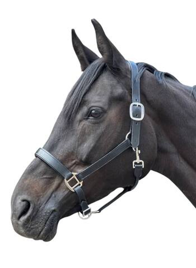 Кожаный недоуздок