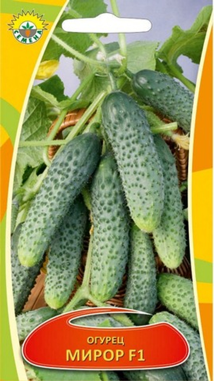 Огурец "Мирор F1" 0,3г., Сербия.
