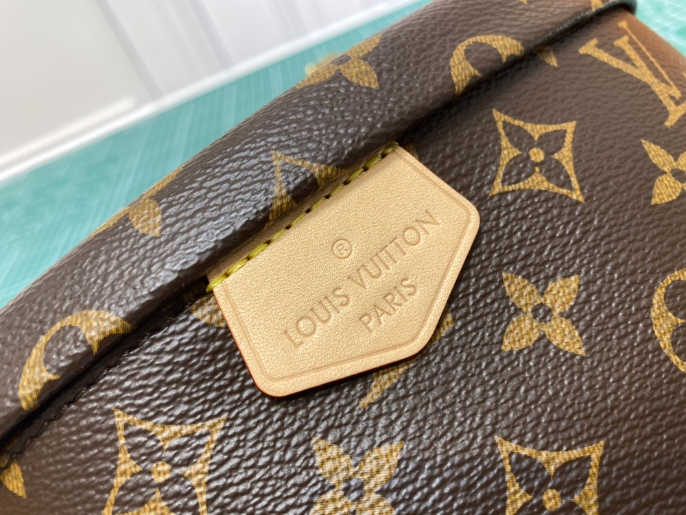 Louis Vuitton Bumbag