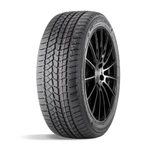 Зимняя шина DoubleStar DW02 (215/60 R17 100T)