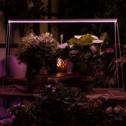 ULI-P13-35W-SPLE IP40 WHITE Светильник для растений светодиодный линейный. 1150мм. выкл. на корпусе. Спектр для фотосинтеза. TM Uniel